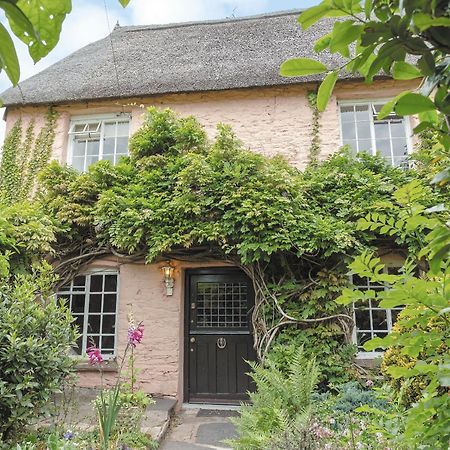 Laurel Cottage Stoke Gabriel Exteriér fotografie