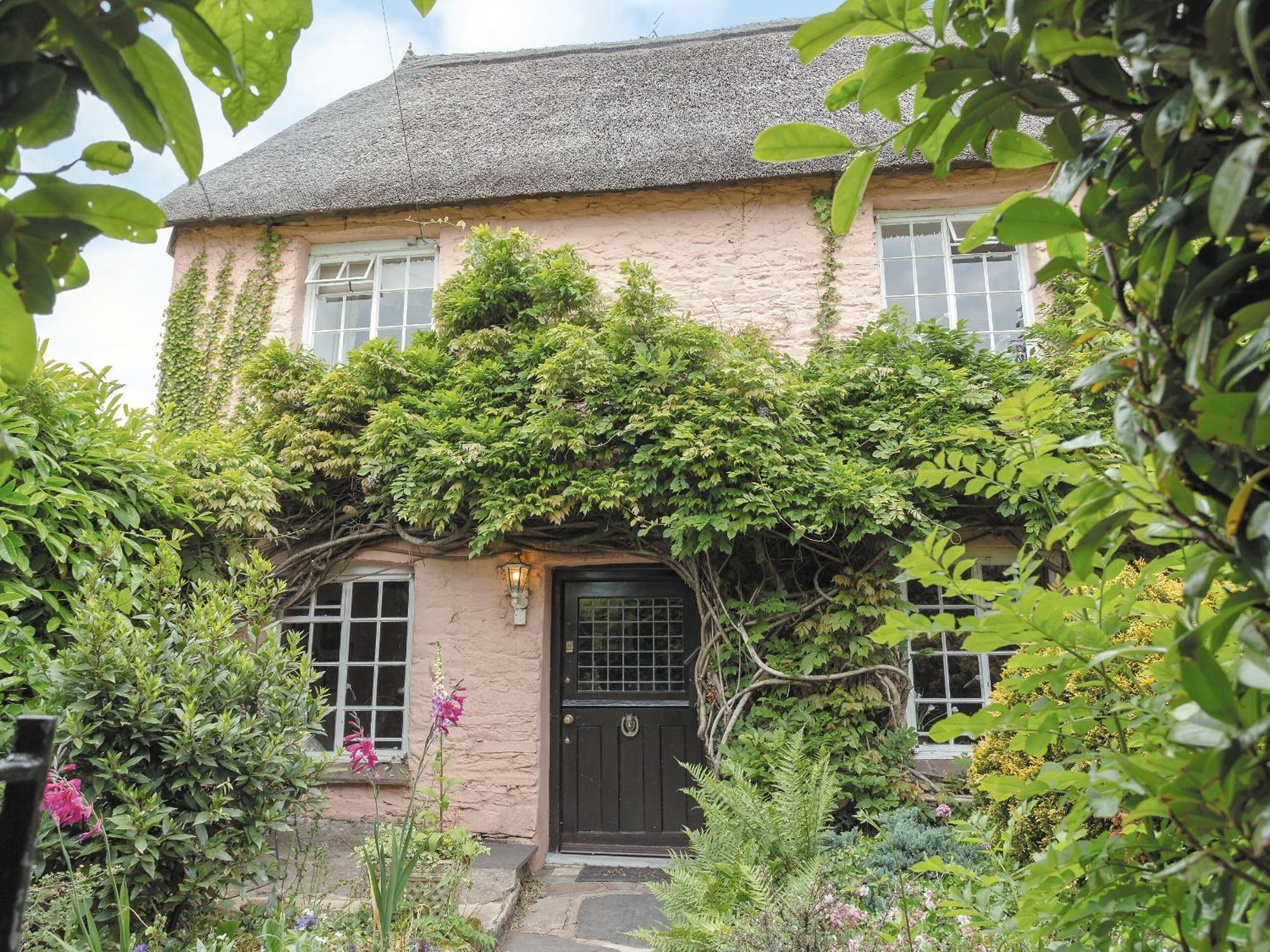 Laurel Cottage Stoke Gabriel Exteriér fotografie
